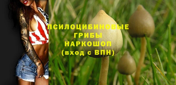 дмт Алзамай