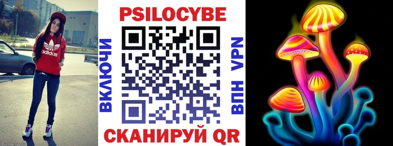 купить  цена  Змеиногорск  MEGA ТОР  Галлюциногенные грибы мицелий 